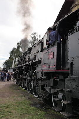 L1003136